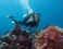 Scuba Dive a Wreck