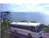 Magnetic Island Bus Timetable