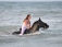 Ride a Horse on the Beach or the Bush.